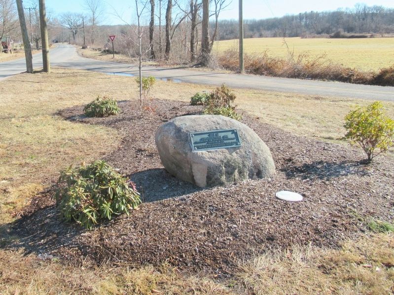 Site of Constitutional Oak Marker image. Click for full size.