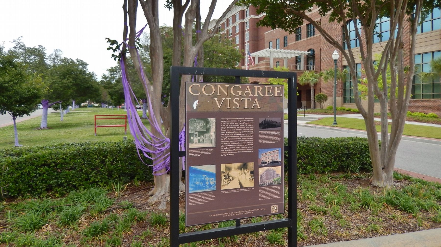 Congaree Vista Marker (<i>wide view</i>) image. Click for full size.