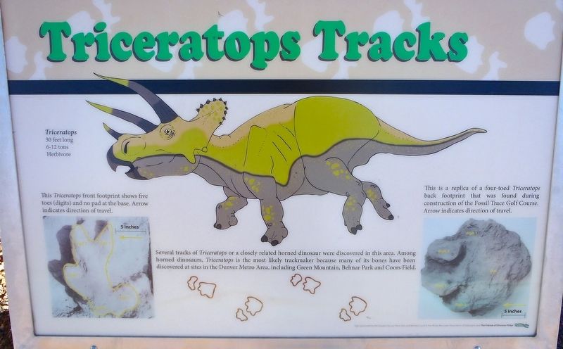 Triceratops Tracks Marker image. Click for full size.