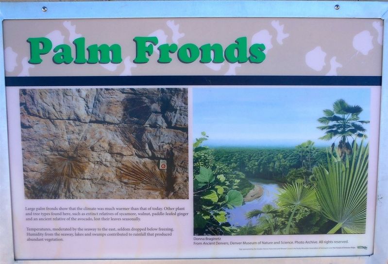 Palm Fronds Marker. Click for full size. Palm Fronds Marker image. Click for full size.