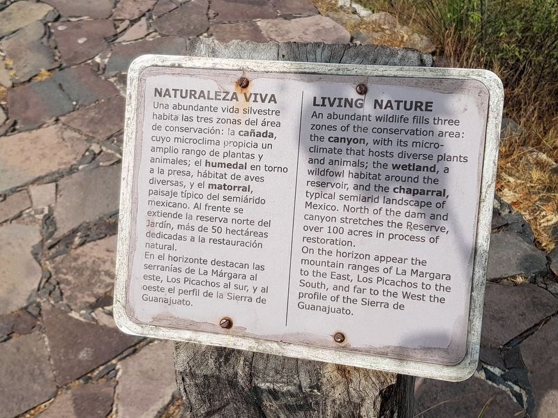 The nearby Living Nature marker image. Click for full size.