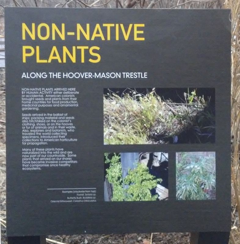 Non-Native Plants Marker. Click for full size. Non-Native Plants Marker image. Click for full size.