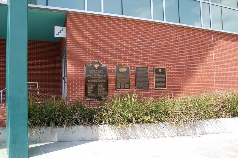 Tulane Stadium Marker image. Click for full size.