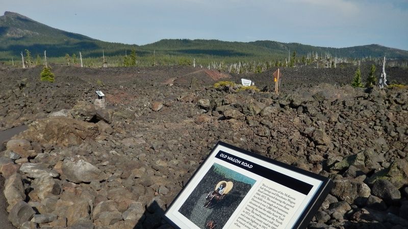 Old Wagon Road Marker (<i>view of the Lava River Interpretive Trail</i>) image. Click for full size.