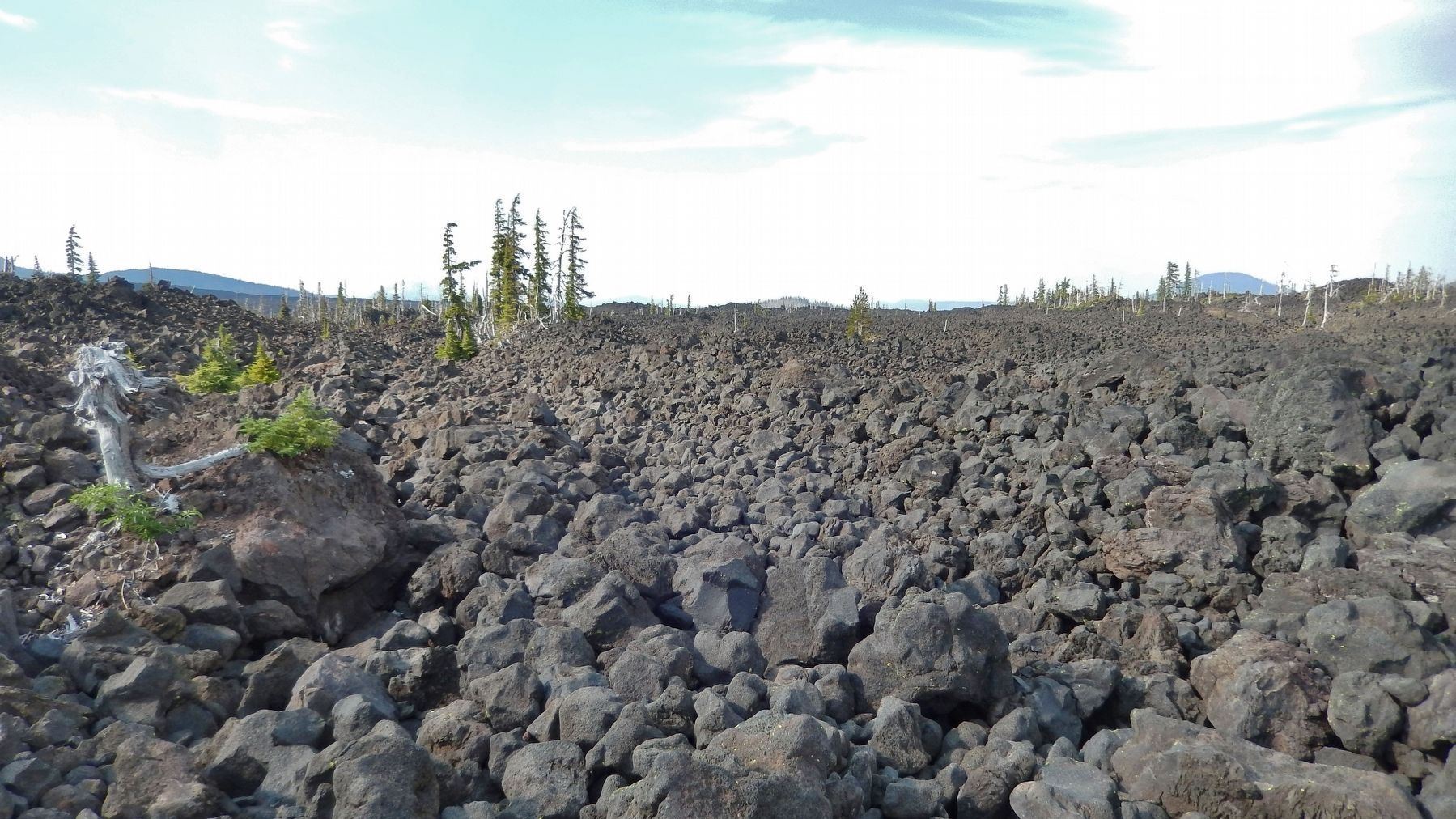 Old Wagon "Road" through lava image. Click for full size.