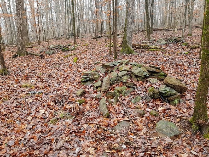 A view of some of the 'stone mounds' at Little Mulberry Park. Click for full size. A view of some of the 'stone mounds' at Little Mulberry Park image. Click for full size.