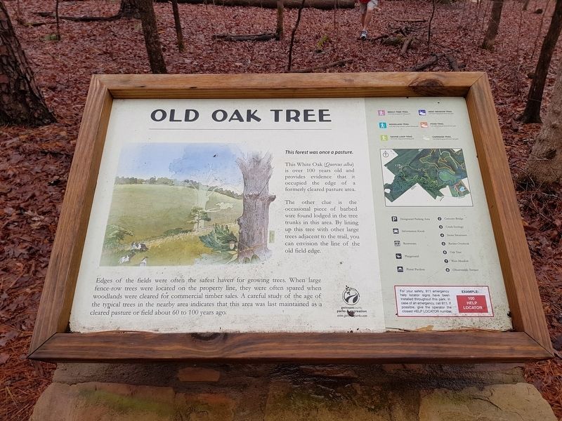 Old Oak Tree Marker image. Click for full size.