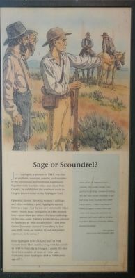Sage or Scoundrel? panel image. Click for full size.