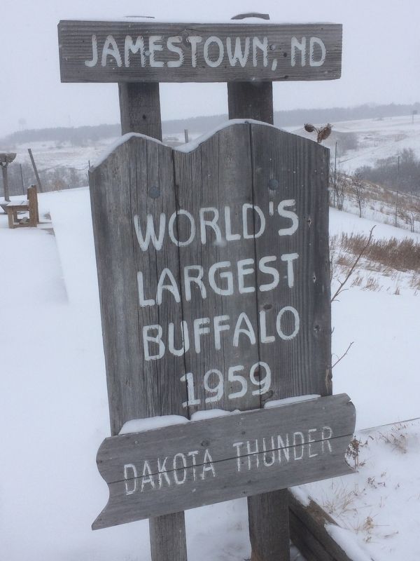World's Largest Buffalo Sign. Click for full size. World's Largest Buffalo Sign image. Click for full size.