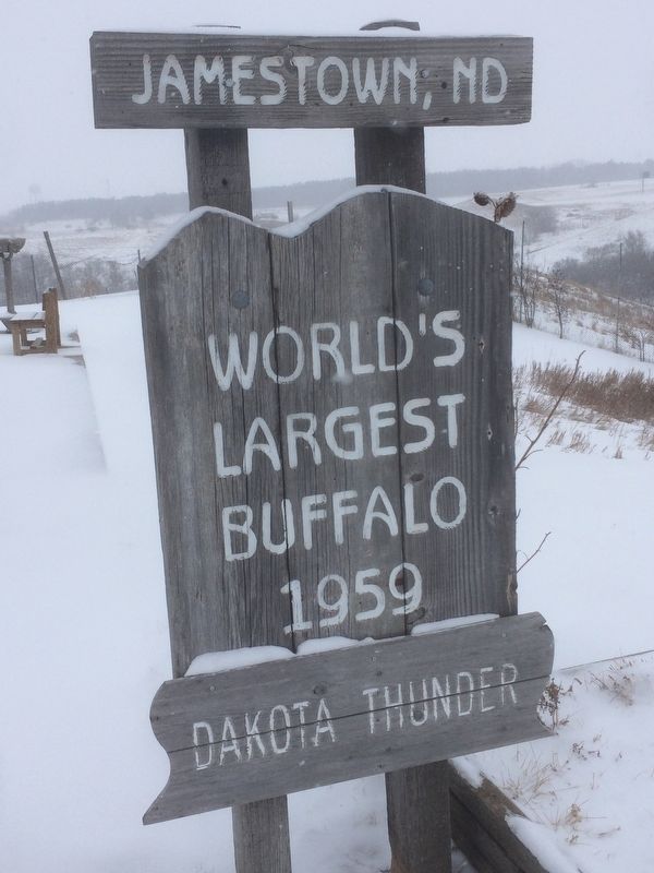 World's Largest Buffalo Sign image. Click for full size.