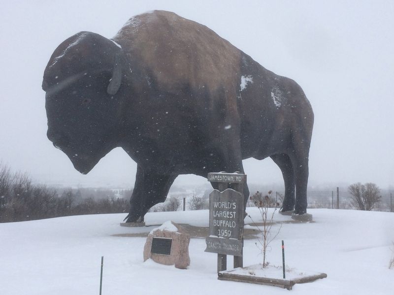 World's Largest Buffalo image. Click for full size.