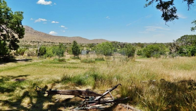 Frijole Ranch (<i>orchard</i>). Click for full size. Frijole Ranch (<i>orchard</i>) image. Click for full size.