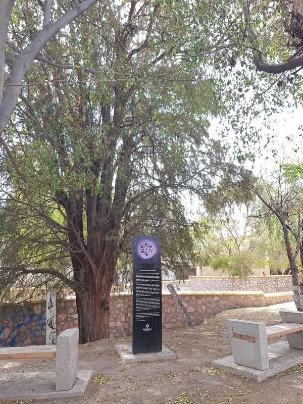 The Ahuehuete of the Querétaro River and Marker image. Click for full size.