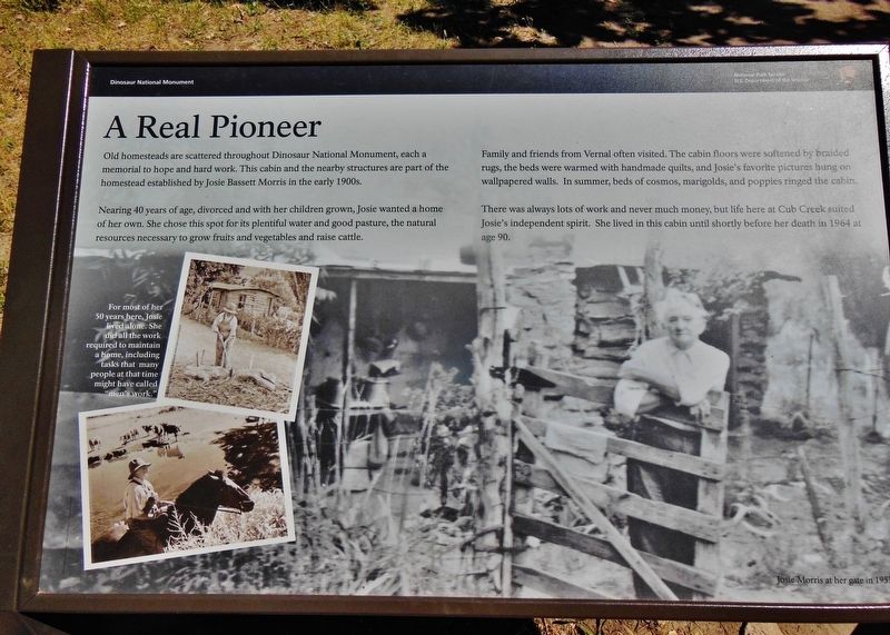 A Real Pioneer Marker image. Click for full size.