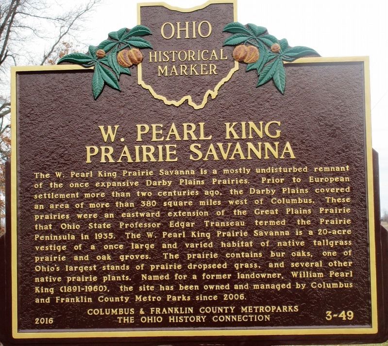 W. Pearl King Prairie Savanna Marker image. Click for full size.