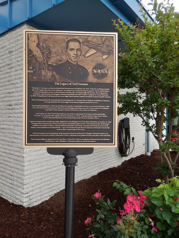 The Legacy of Ted Freeman Marker (<i>tall view</i>) image. Click for full size.