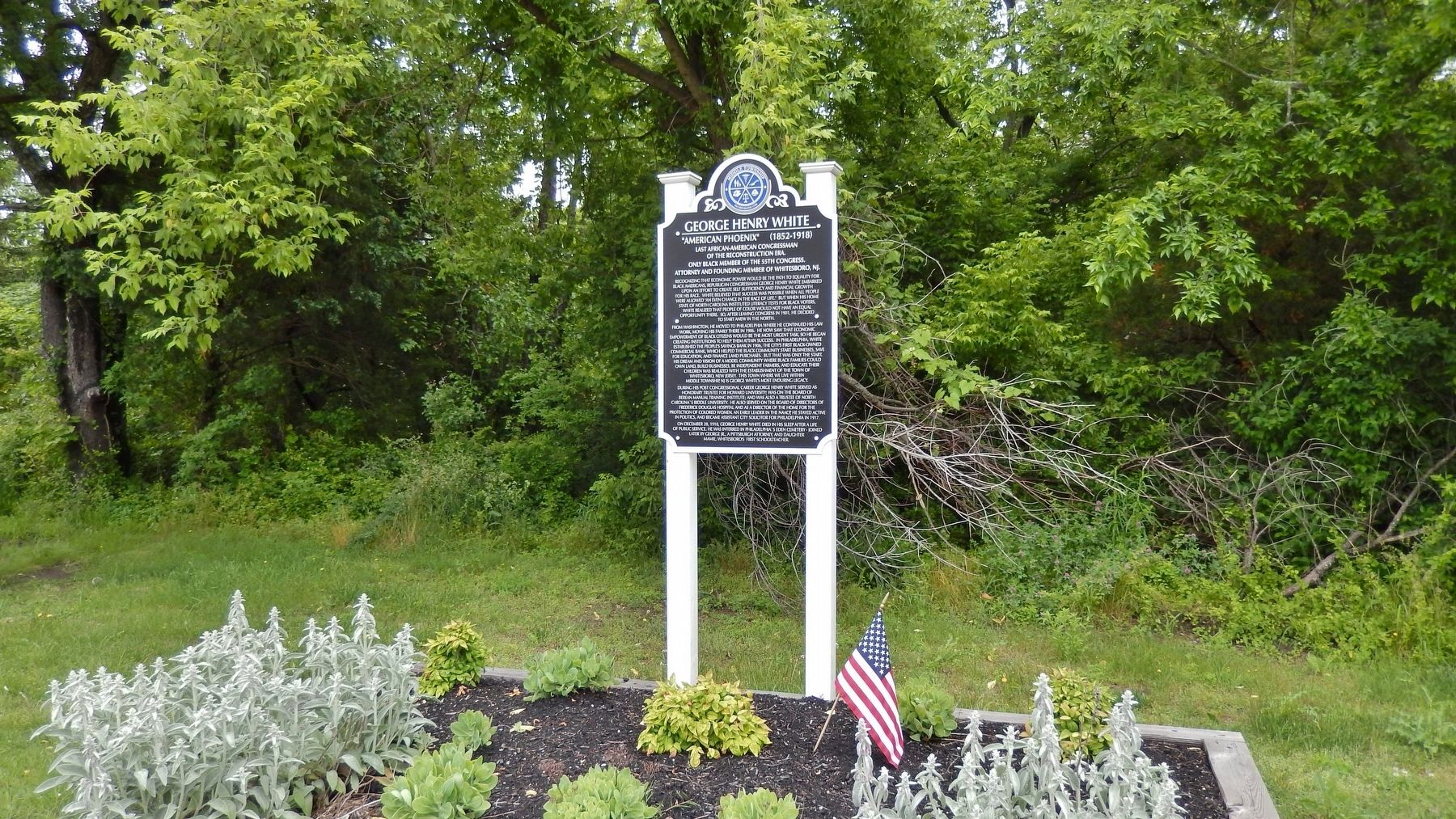 George Henry White Marker (<i>wide view</i>) image. Click for full size.