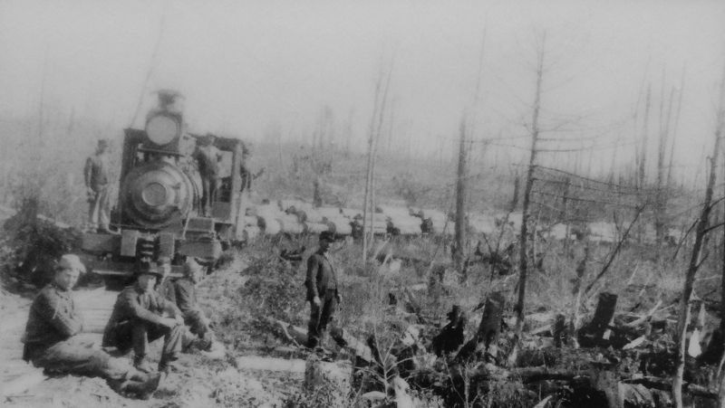 Marker detail: logging train leaving from deforested hillsides image. Click for full size.