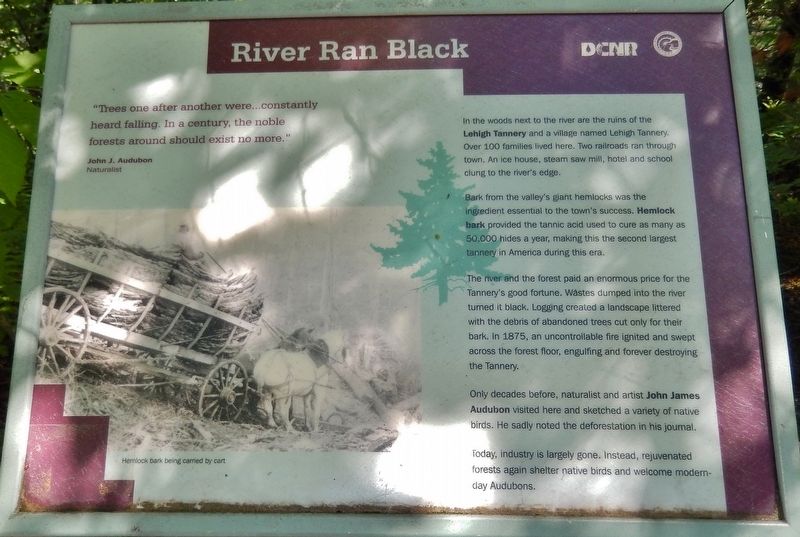 River Ran Black Marker image. Click for full size.