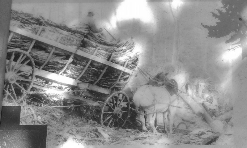 Marker detail: hemlock bark being carried by a cart image. Click for full size.