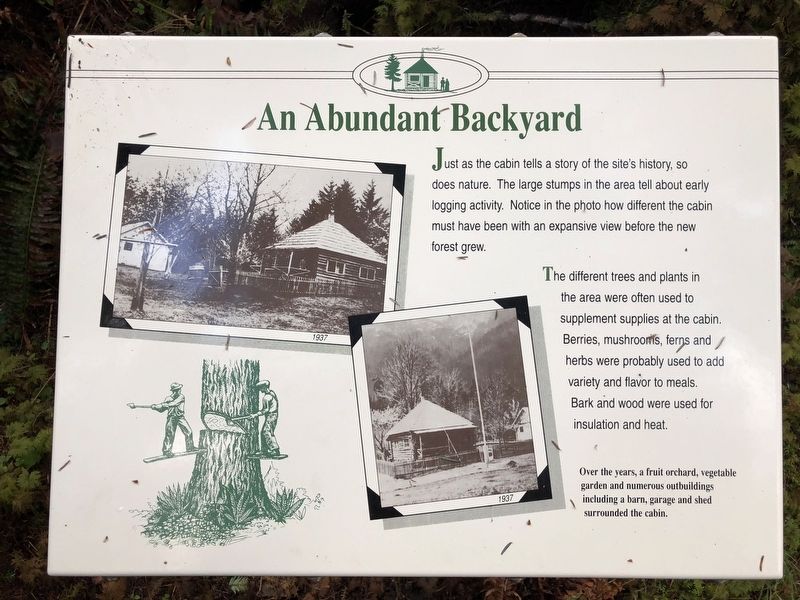 An Abundant Backyard Marker image. Click for full size.