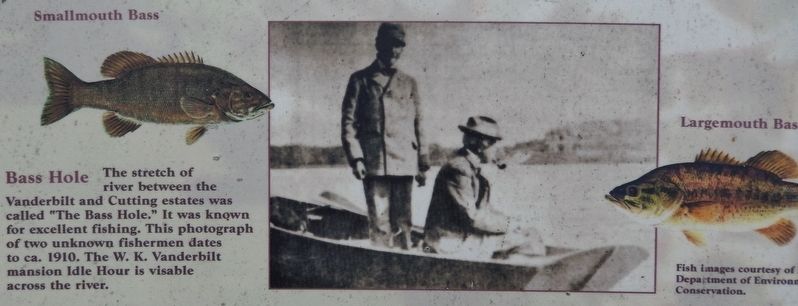 Marker detail: Bass Hole image. Click for full size.