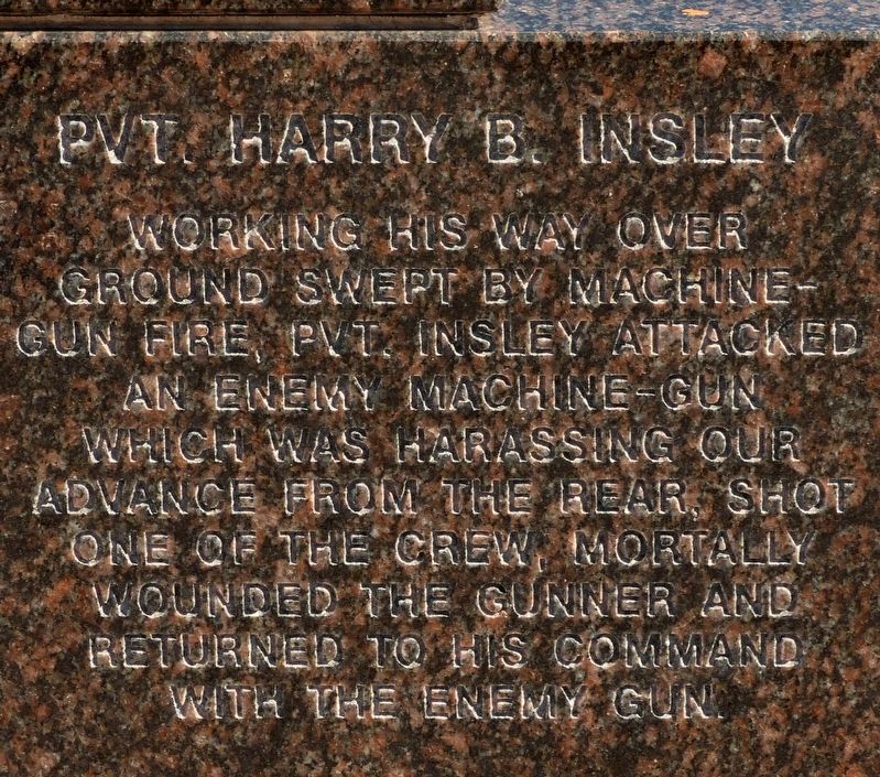 Pvt. Harry B. Insley image. Click for full size.