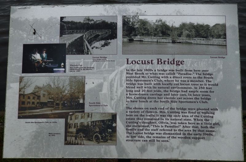 Locust Bridge Marker image. Click for full size.