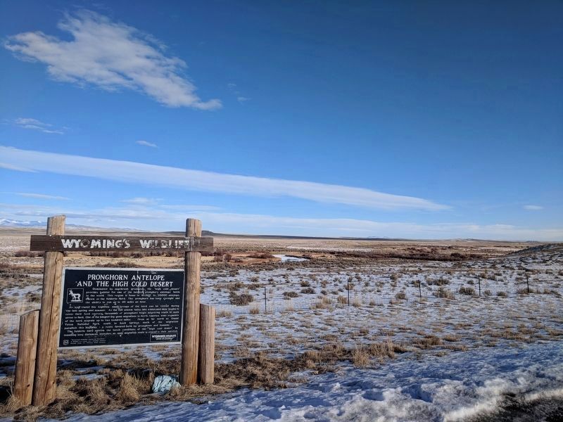 Pronghorn Antelope and the High Cold Desert Marker image. Click for full size.