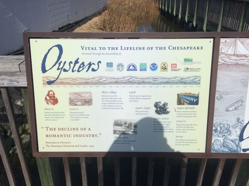 Oysters: Vital to the Lifeline of the Chesapeake Marker image. Click for full size.