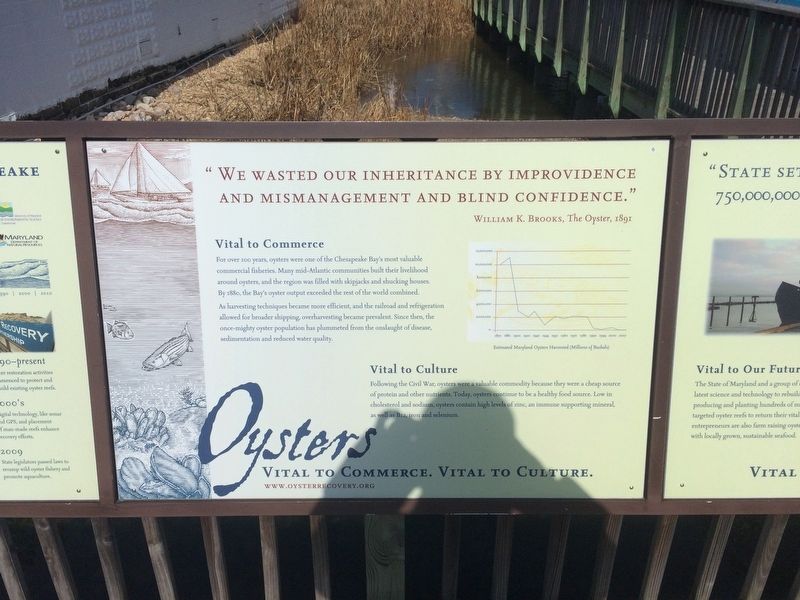 Oysters: Vital to Commerce. Vital to Culture. Marker. Click for full size. Oysters: Vital to Commerce. Vital to Culture. Marker image. Click for full size.
