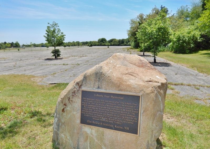 Liberty Tree Memorial Marker (<i>wide view</i>) image. Click for full size.