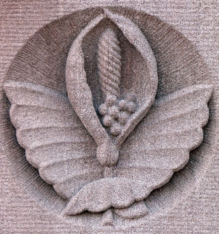 Calla Lilly<br>Architectural Detail image. Click for full size.
