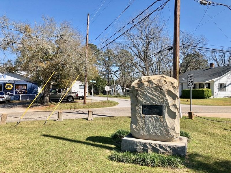 The Newton Confederate Memorial. Click for full size. The Newton Confederate Memorial image. Click for full size.