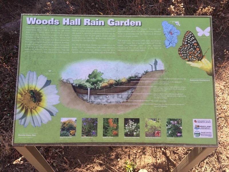 Woods Hall Rain Garden Marker image. Click for full size.