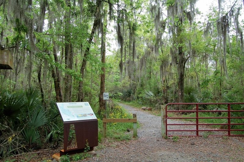 Terrebonne Basin Marker. Click for full size. Terrebonne Basin Marker image. Click for full size.