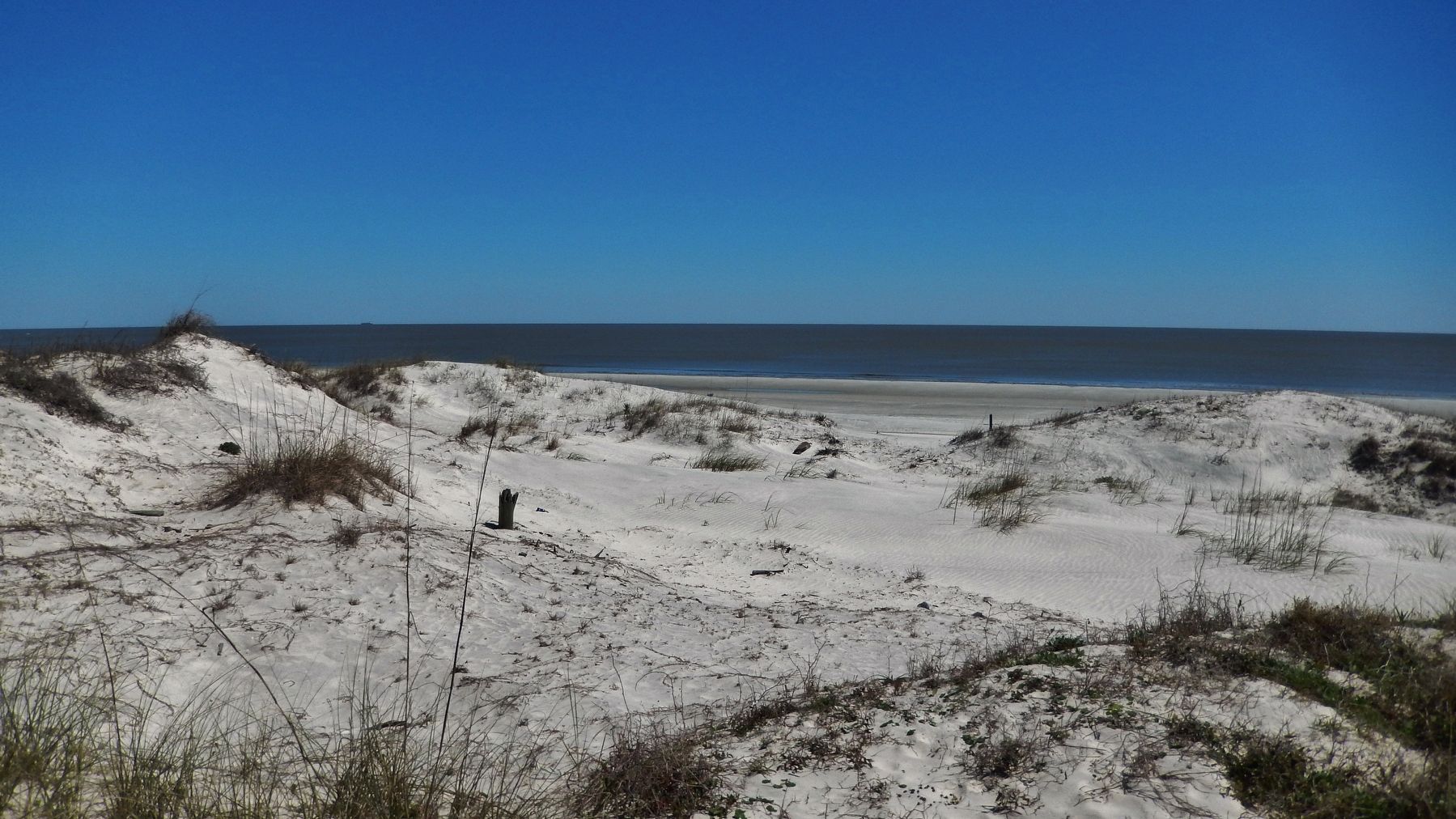 Sand Dunes (<i>view east from marker</i>) image. Click for full size.