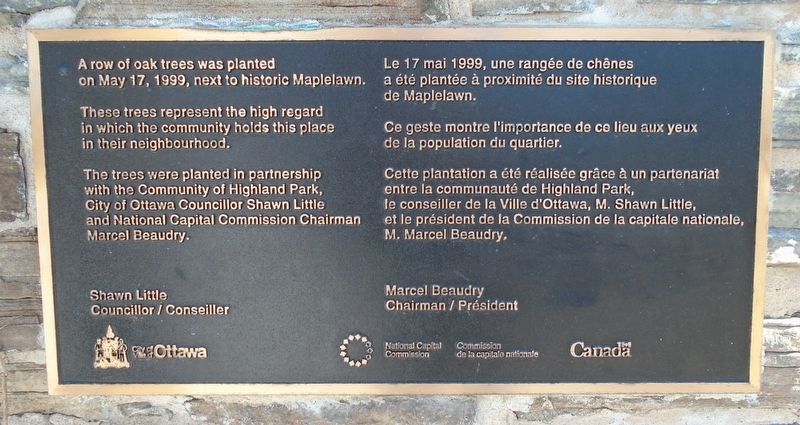 Maplelawn Oak Trees Marker. Click for full size. Maplelawn Oak Trees Marker image. Click for full size.