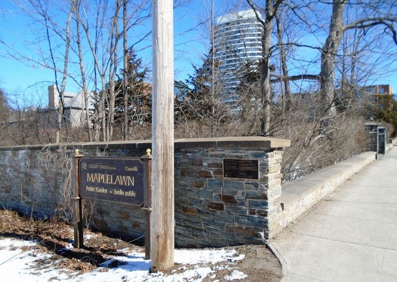 Maplelawn Oak Trees Marker. Click for full size. Maplelawn Oak Trees Marker image. Click for full size.
