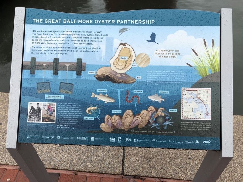 The Great Baltimore Oyster Partnership Marker image. Click for full size.