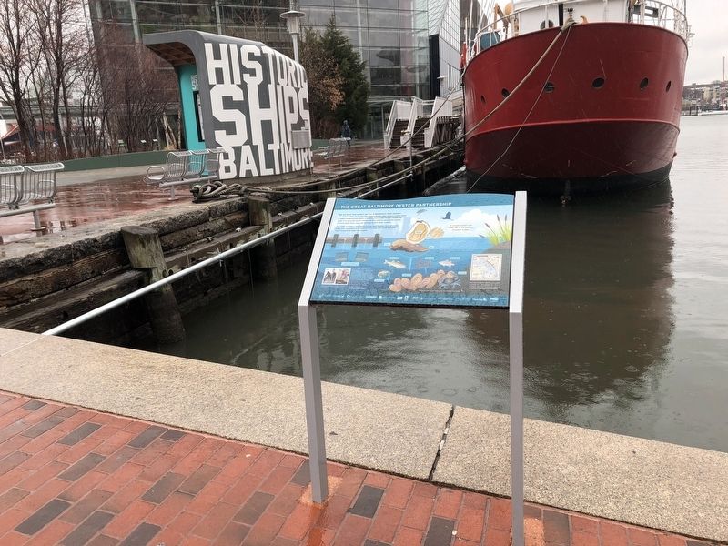 The Great Baltimore Oyster Partnership Marker image. Click for full size.