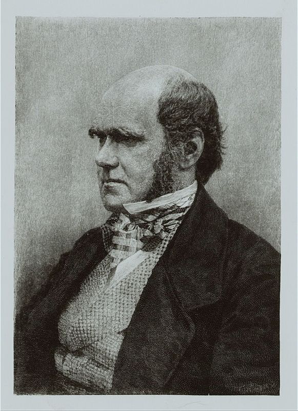 Charles Darwin image. Click for full size.