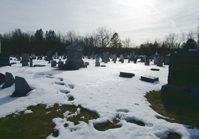 Elmwood Cemetery image. Click for full size.