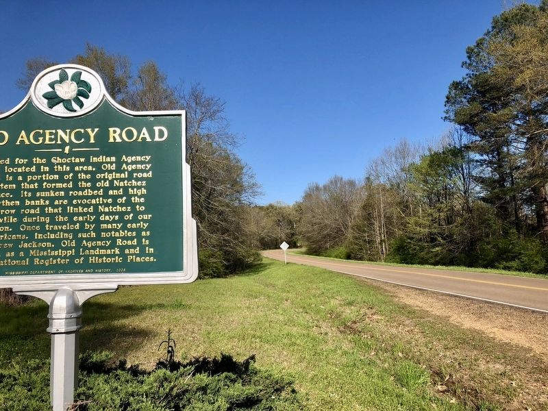 View from marker looking east on Old Agency Road. image. Click for full size.