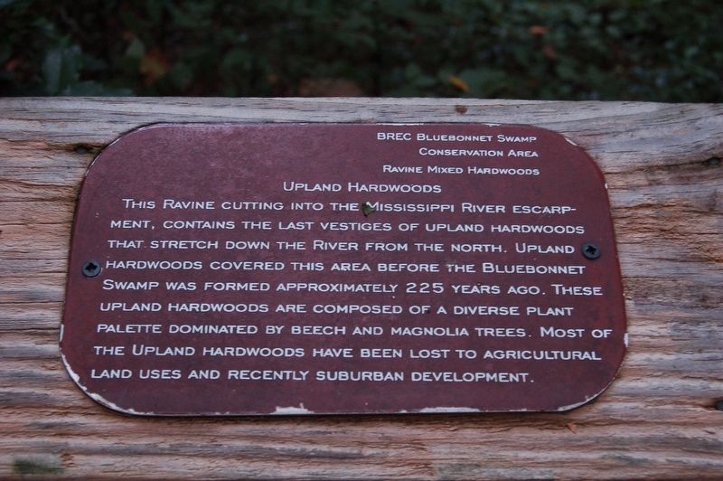 Upland Hardwoods Marker image. Click for full size.