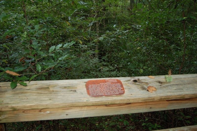 Upland Hardwoods Marker image. Click for full size.