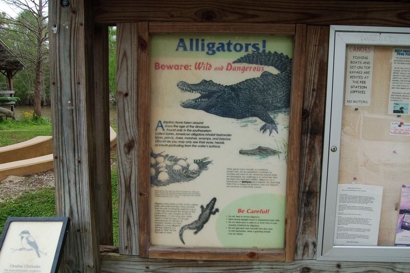 Alligators! Marker image. Click for full size.