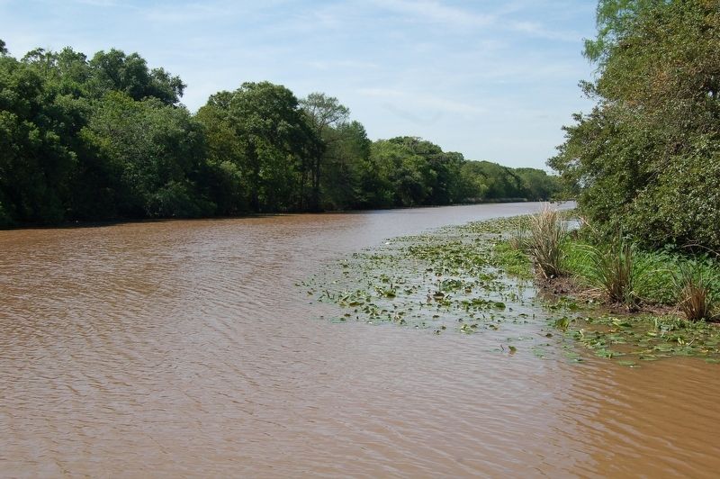 Bayou Teche. Click for full size. Bayou Teche image. Click for full size.
