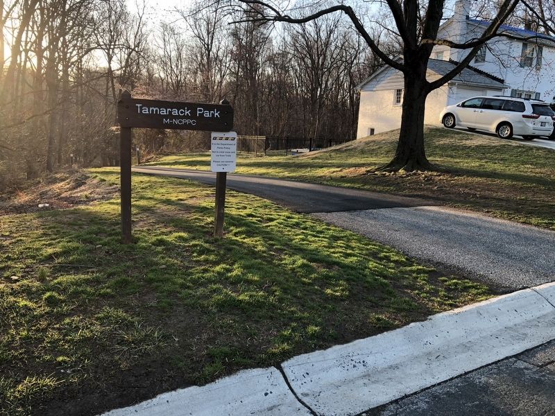Nearest entrance access to the trail is Tamarack Park. Click for full size. Nearest entrance access to the trail is Tamarack Park image. Click for full size.
