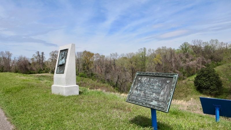 U☆S 1st Battalion 13th U.S. Infantry Marker looking west. image. Click for full size.